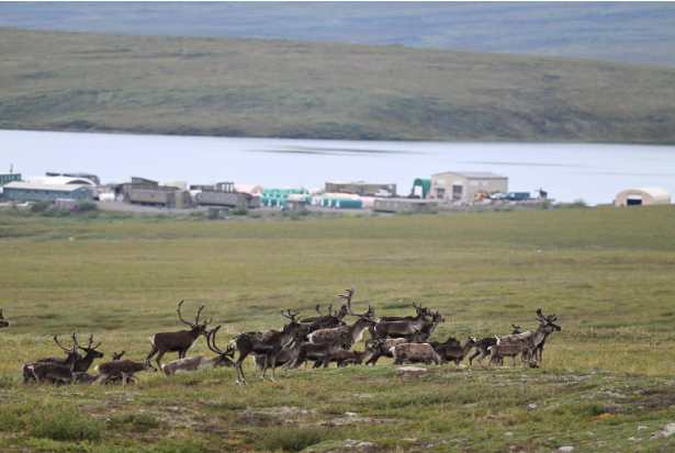 UAF Toolik Field Station to celebrate 50 years with Visitor’s Day
