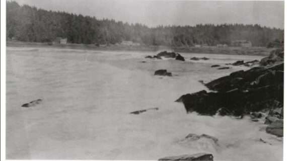 Little Afognak-Alutiiq Word of the Week