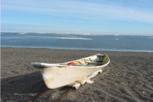 Umiak boat covered with bearded seal skins. Credit: Alaska Department of Fish and Game
