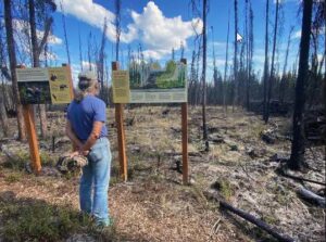 Photo by Carolyn Rosner
A visitor reads one of the new interpretive signs at the site of the 2021 Yankovich Road Fire.