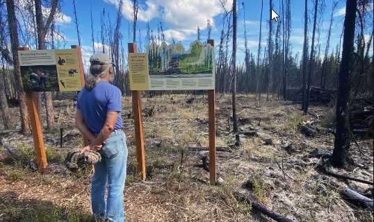 UAF invites people to take a wildfire walk