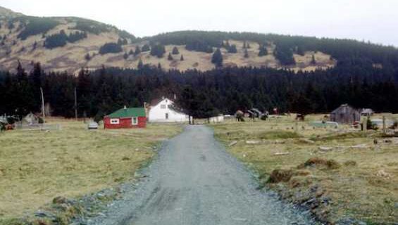 Aleut Town-Alutiiq Word of the Week