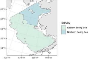 Map of the Bering Sea showing the spatial extent of the annual eastern and northern Bering Sea trawl survey conducted by NOAA’s Alaska Fisheries Science Center. Credit: NOAA Fisheries
