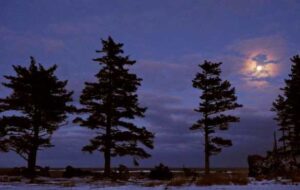 Photo: A moonlit night at Miller Point, Kodiak Island, AM725.
