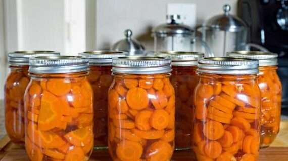 In-person food preservation series planned in Palmer