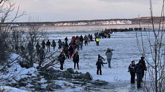 47-Foot Fin Whale Found Washed Ashore Near Anchorage