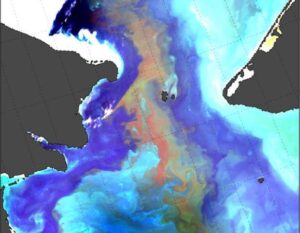 The detection of a massive harmful algal bloom in the Arctic prompts real-time advisories to western Alaskan communities
WOODS HOLE OCEANOGRAPHIC INSTITUTION