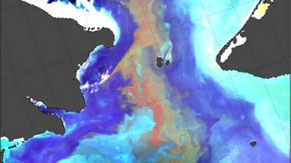 The detection of a massive harmful algal bloom in the Arctic prompts real-time advisories to western Alaskan communities