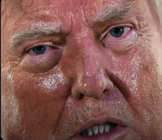 trump image-evelyn hockstein