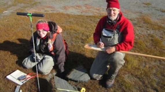 Rainfall, melting permafrost change Interior Alaska stream systems