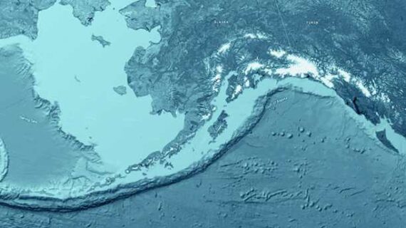 A Few Surprises in Alaska’s Marine Environment in 2024