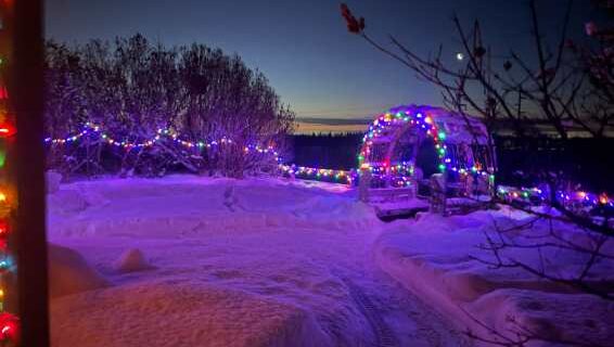 Georgeson Botanical Garden transformed into a winter wonderland