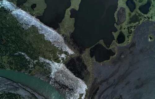 The many uses of driftwood: the first large-scale mapping of Arctic coastlines