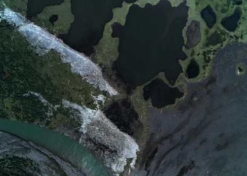 The many uses of driftwood: the first large-scale mapping of Arctic coastlines