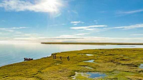Ukpeaġvik Iñupiat Corporation’s wetlands mitigation bank—the North Slope’s first compensatory mitigation resource