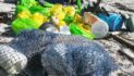 Ocean Conservancy Applauds Alaska Marine Debris Resolution