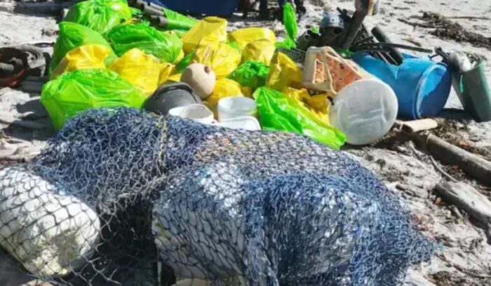 Ocean Conservancy Applauds Alaska Marine Debris Resolution
