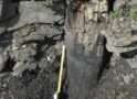 Alaska dinosaur tracks reveal a lush, wet environment