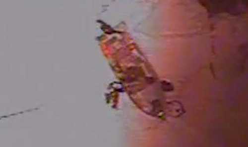 Coast Guard rescues 4 from vessel trapped in ice near Chefornak, Alaska