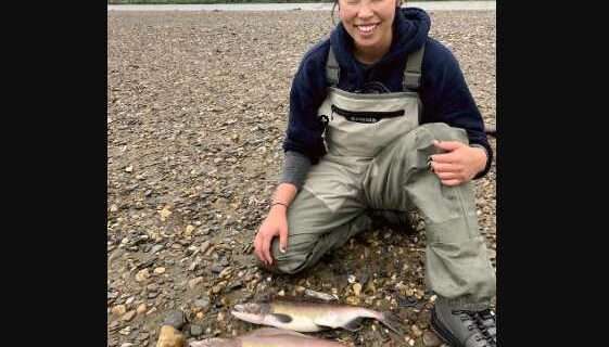 Research on pink salmon in the Arctic learns from people, place, fish