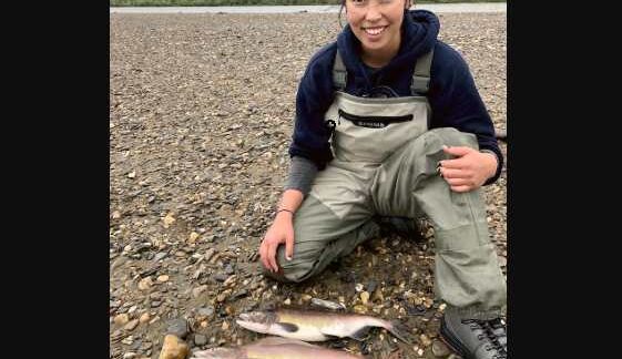 Research on pink salmon in the Arctic learns from people, place, fish