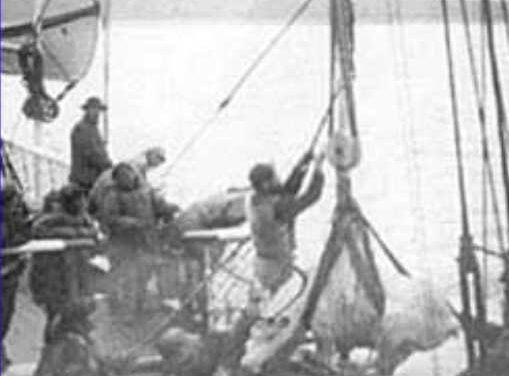 This Day in Alaska History-September 21st, 1891