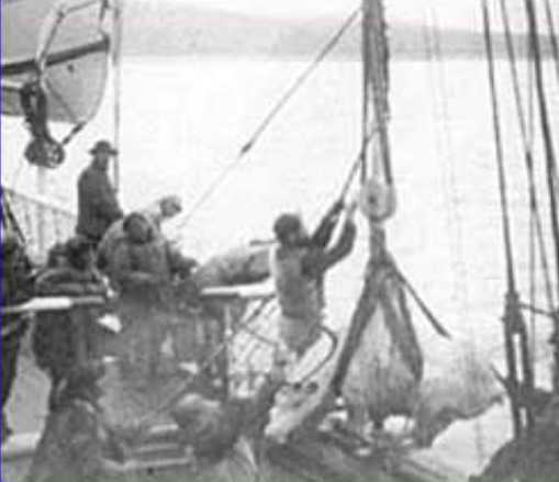 This Day in Alaska History-September 21st, 1891