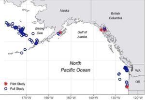 Locations of pilot study samples and samples collected for the full study as of June 7, 2022. Sample collections continued through 2023. Credit: NOAA Fisheries
