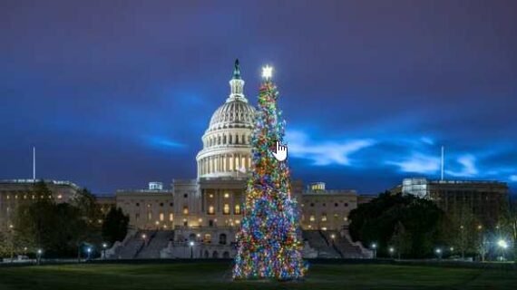 Senator Murkowski Announces 2024 U.S. Capitol Christmas Tree Essay Contest for Alaska Fourth Graders