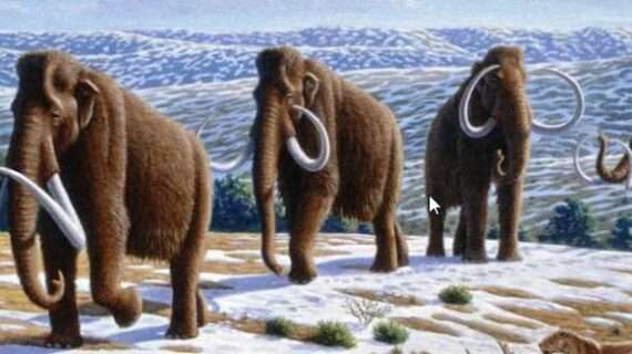 Ice age climate analysis reduces worst-case warming expected from rising CO2