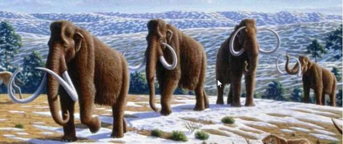 Ice age climate analysis reduces worst-case warming expected from rising CO2