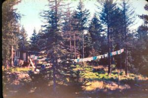 Photo: Laundry drying on a sunny day in Kodiak, Jarvela Family Collection, AM991
