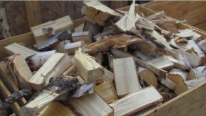 Photo by Glen Holt
Learn the basics of chainsaw use and maintenance and how to use one to cut firewood, such as this stack of birch.