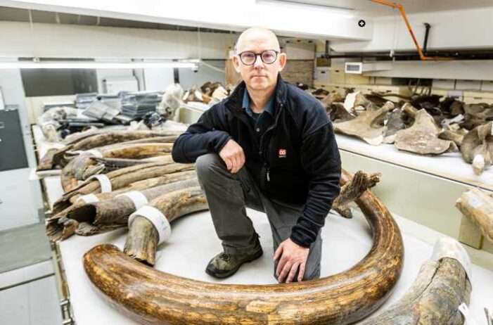 Woolly mammoth movements tied to earliest Alaska hunting camps