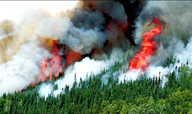 Alaska charter company pays $900,000 in Klutina River Fire settlement