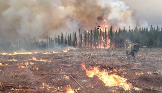 When snow melts early, a big fire season could follow