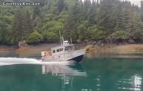 Halibut Cove woman pleads guilty, sentenced on  federal navigation interference charges