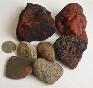 Photo: Pumice and Scoria abraders from the Karluk One Site, Koniag, Inc. Collection. 

