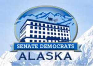 Senate Democrats Announce Caucus Leadership