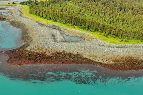 ShoreZone Coastal Habitat Surveys Continue in Alaska
