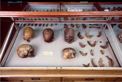 DNA of World’s Oldest Natural Mummy Unlocks Secrets of America’s Ice Age Tribes