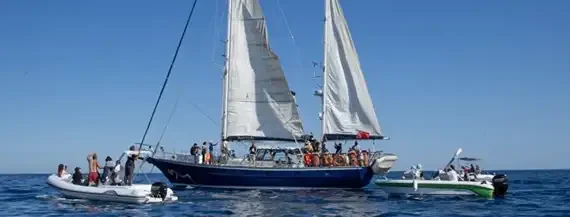‘They Deserve Safety’: Tlaib Leads Letter Urging Rubio to Protect Gaza Freedom Flotilla