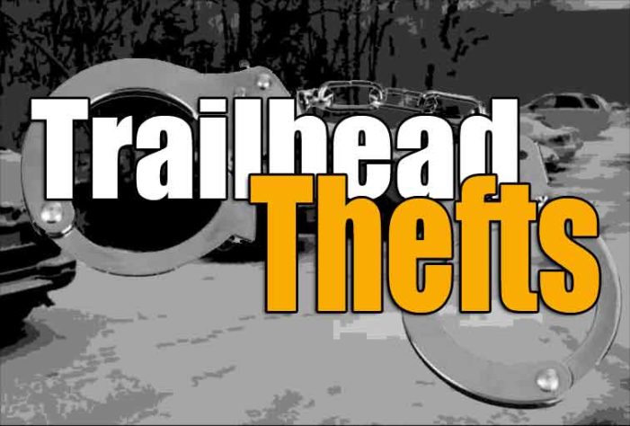 Palmer Troopers Arrest Two in Mat-Su Trail Head Thefts from Vehicles Case