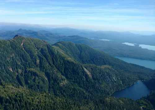 Tlingit & Haida Hails the Restored Protections to the Tongass National Forest