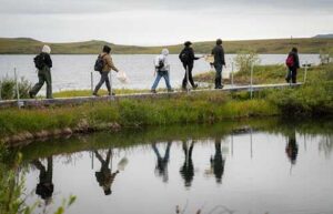 Photo by Erin Towns
A group tours long-term research sites near Toolik Field Station in Arctic Alaska in August 2025.