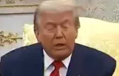 Critics Stunned as Trump Claims His ‘High IQ’ Enough to Regulate AI