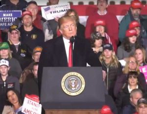 Trump at his Mosinee, Wisconsin campaign rally. Image-Screenshot YouTube/Trump for president video.
