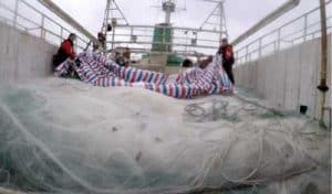 USCGC Alex Haley (WMEC 39) and People's Republic of China Coast Guard crew members uncover an approximately 5.6-mile drift net onboard the fishing vessel Run Da during a joint boarding of the vessel. U.S. Coast Guard photo.