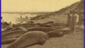 This Day in Alaska History-October 7th, 1914