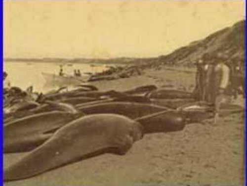 This Day in Alaska History-October 7th, 1914